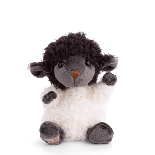 Black sheep