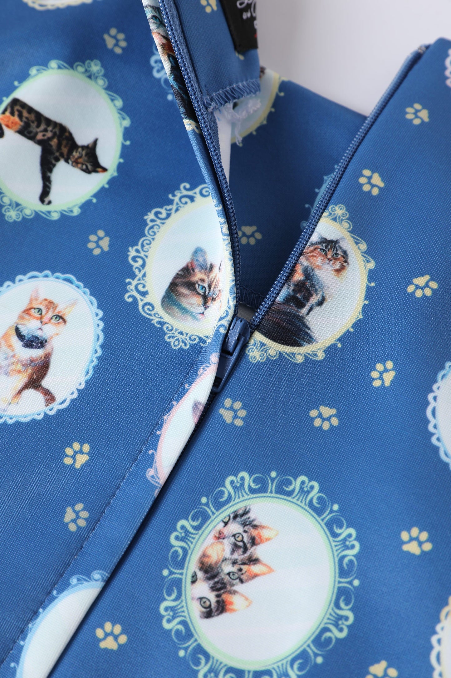 Amanda Blue Cat In The Mirror Swing Dress