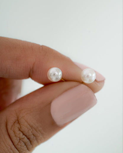 Freshwater Pearl Studs