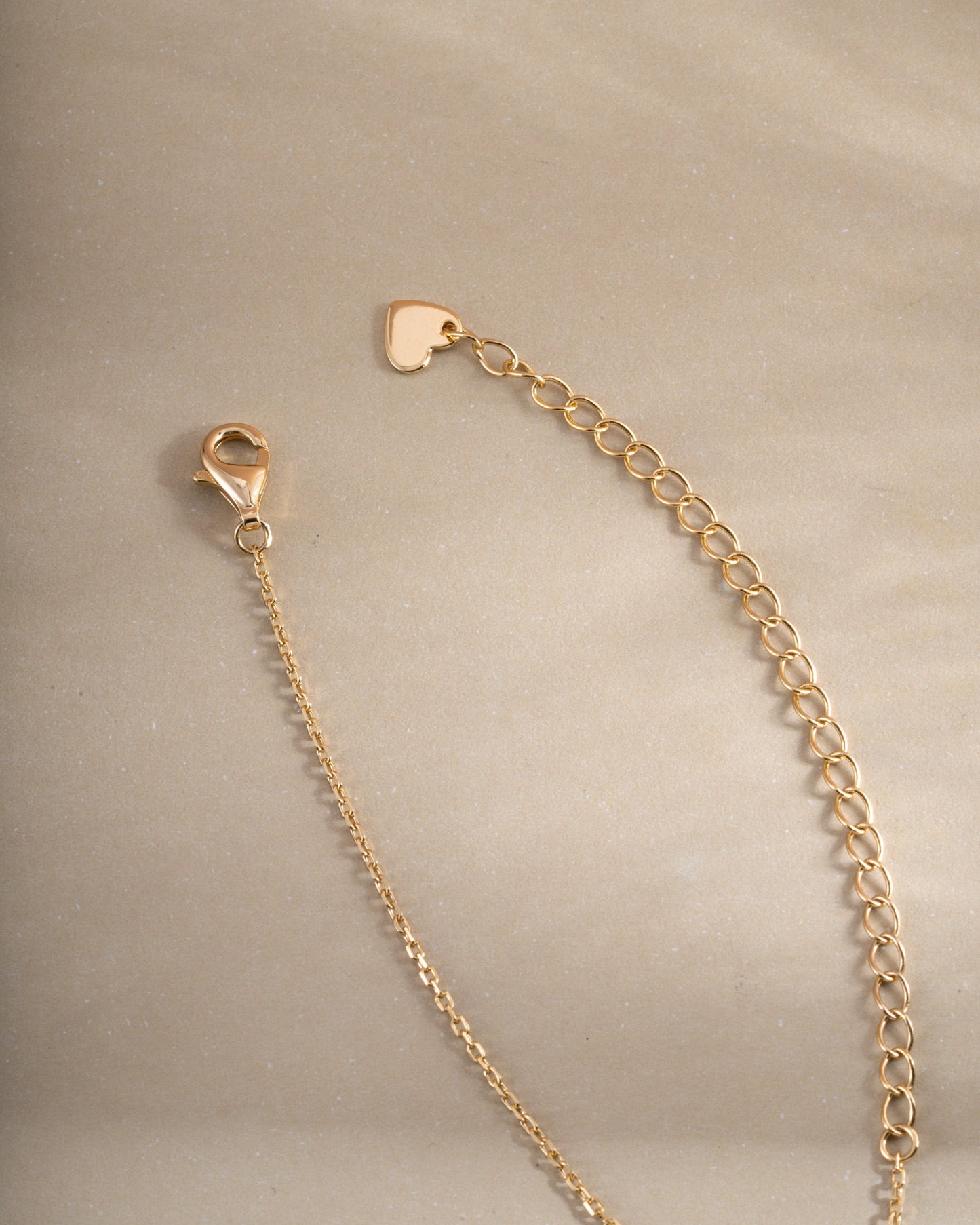 Oval Medallion Necklace