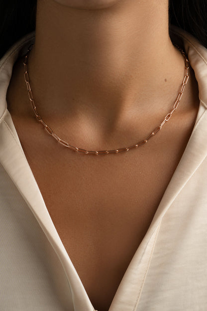 Paperclip Necklace