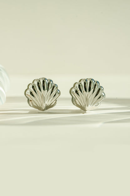 Seashell Earrings